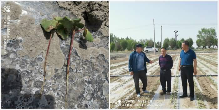 未命名_meitu_0.jpg 未命名_meitu_0.jpg