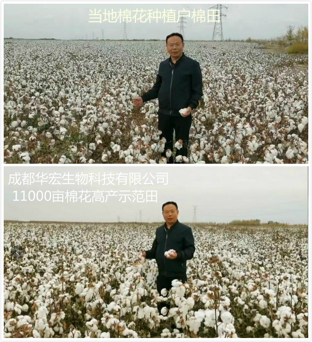 222_meitu_2.jpg 222_meitu_2.jpg