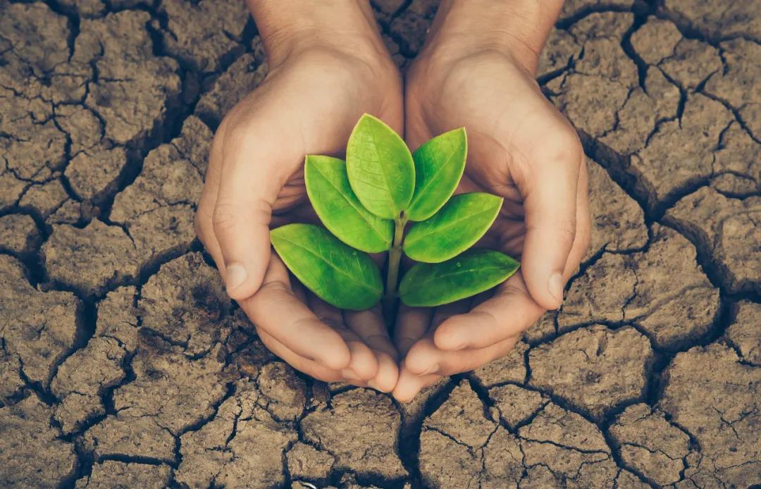 微信圖片_20211224113309.jpg 微信圖片_20211224113309.jpg