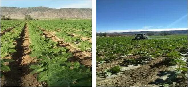 微信圖片_20221107215922.jpg 微信圖片_20221107215922.jpg