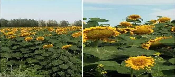 微信圖片_20221107215922.jpg 微信圖片_20221107215922.jpg