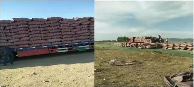 微信圖片_20221107215922.jpg 微信圖片_20221107215922.jpg