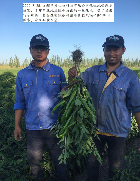 微信圖片_20230209185255.png 微信圖片_20230209185255.png