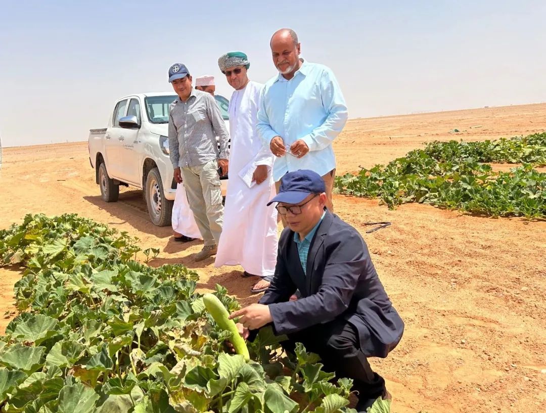 640 (5).jpg 640 (5).jpg